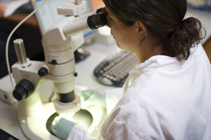 scientist examining evidence � Kay Ransom