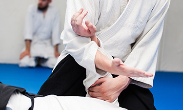 aikido