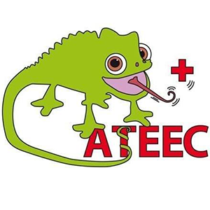 logo asso ateec