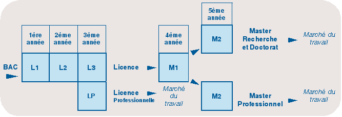 Schéma des études LMD Schéma des études LMD