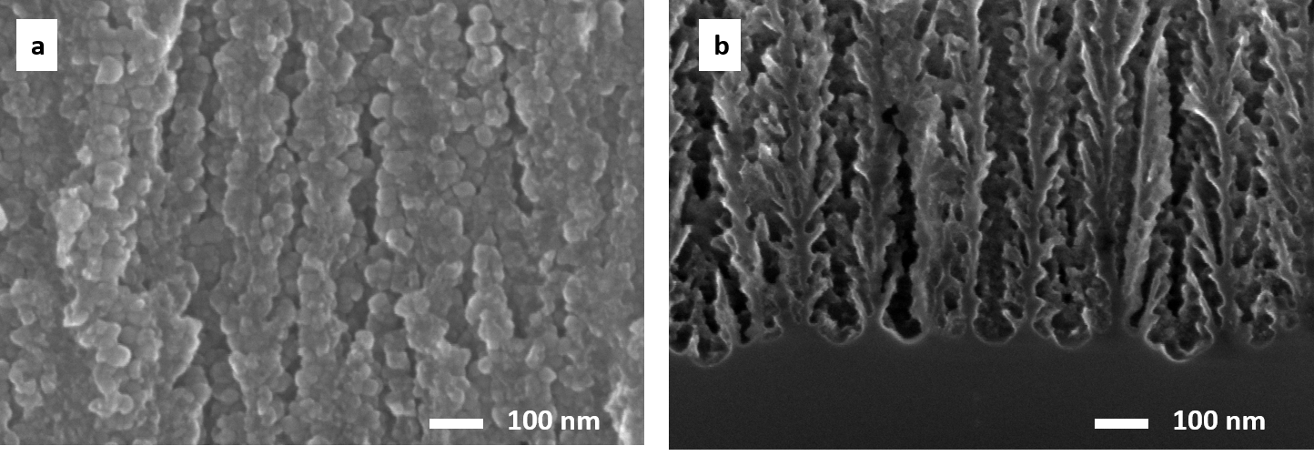 TiO2 ALD coatings on macroporous silicon films  (~100 nm)