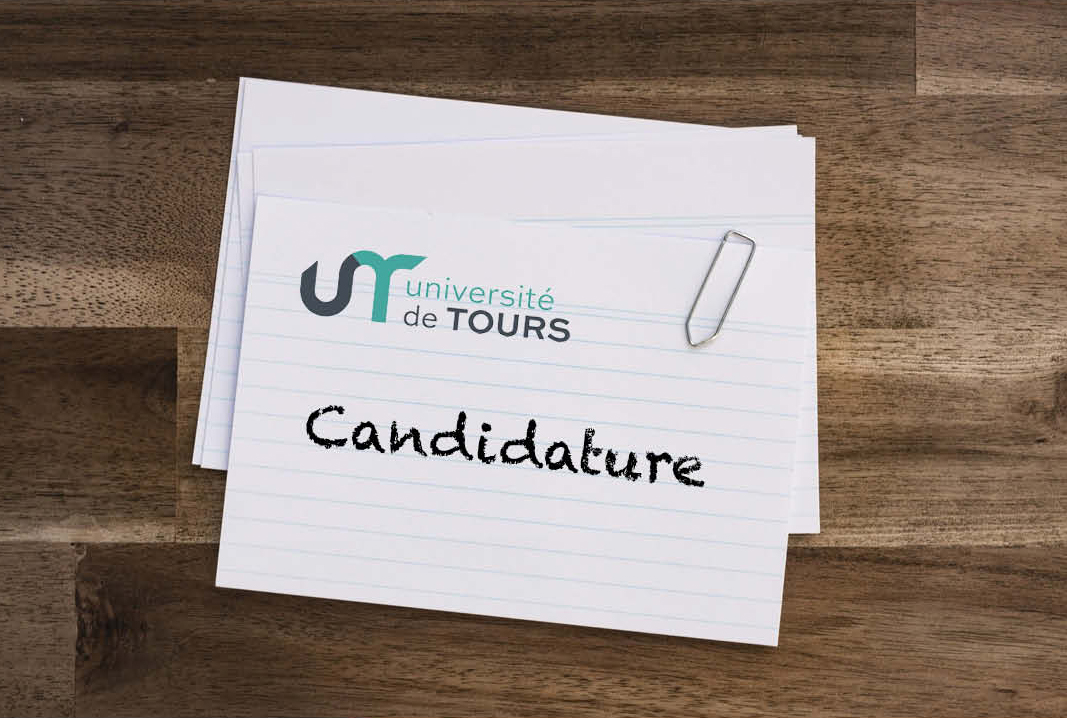 univ tours licence droit